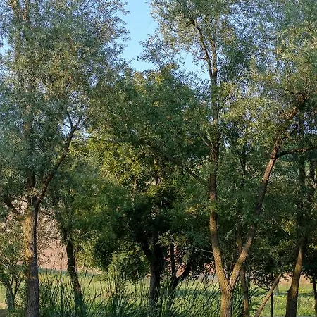 Bed & Breakfast Al Sasseto