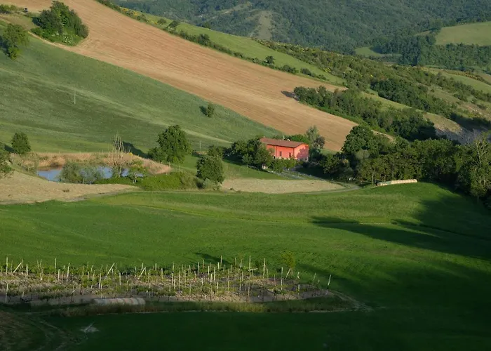 Al Sasseto Bed and Breakfast Montagnana (Modena)