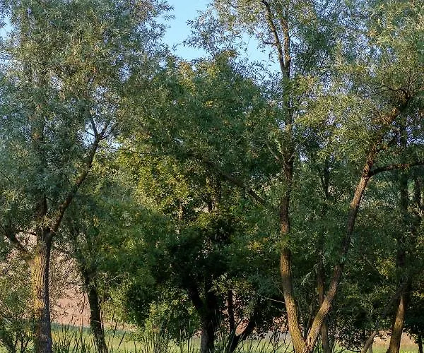 Bed and Breakfast Al Sasseto